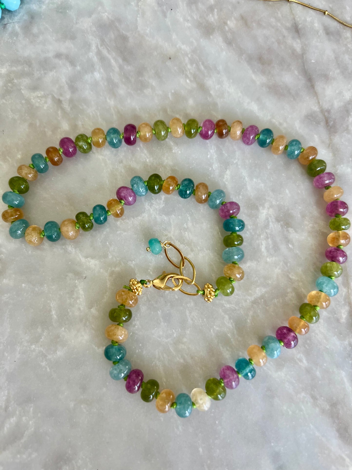 Agatha multicolor